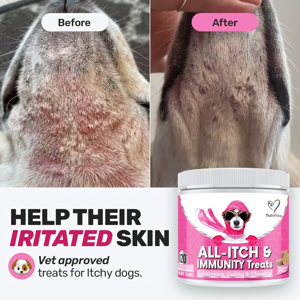 A square format ad creative showing the clear health improvement in a dog's skin after using the featured immunity treats.